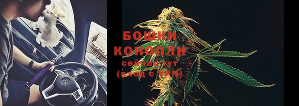 мескалин Новодвинск
