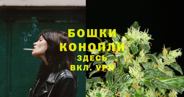 ECSTASY Болотное