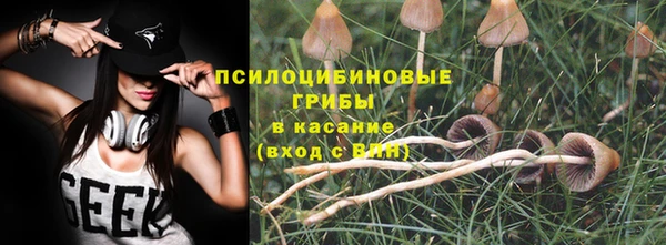 a pvp Новокубанск