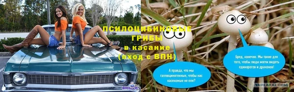 индика Болхов