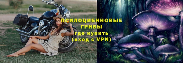 мескалин Новодвинск